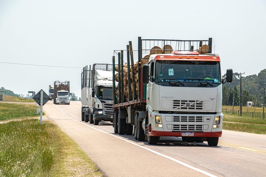LKW, Holztransporter, Straße, Autobahn, Route, Pflaster, Ladung, Holztransport, Transport, Fahrzeug